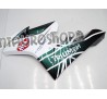 Carena in ABS Triumph Daytona 675 ParkinGO
