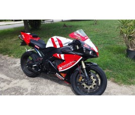 Carena in ABS Yamaha YZF1000 R1 04 05 06 Santander SBK