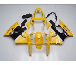 Carenatura in ABS Kawasaki ZX-6R Ninja 636 2000 2002 Yellow