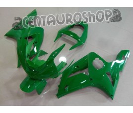 Carena in ABS Kawasaki ZX-6R Ninja 636 03-04 colorazione Green