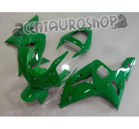 Carena in ABS Kawasaki ZX-6R Ninja 636 03-04 colorazione Green