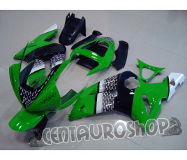 Carena Kawasaki ZX6R Ninja 636 03 04 Green Nakano MotoGP replica