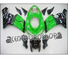 Carena in ABS Kawasaki ZX 6R Ninja 636 05 06 colorazione Elf