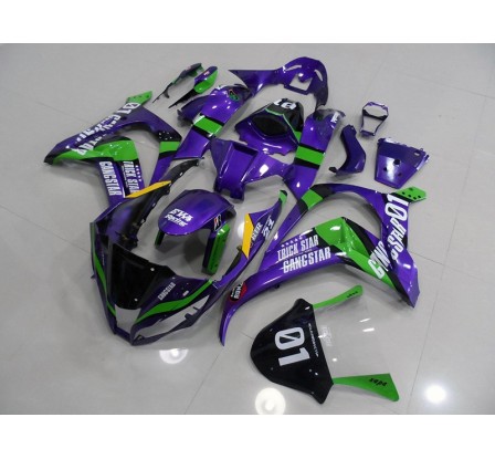Carena in ABS Kawasaki ZX-10R Ninja 11-13 EVA Racing 8 ore di Suzuka