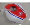 Carena ABS Honda CBR 600 RR 13 14 TT Legends