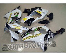 Carena in ABS Honda CBR 900 RR 954 02-03 colorazione Hannspree