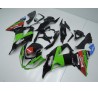Carene Kawasaki ZX6R Ninja 636 2013 2017 replica World Superbike