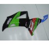 Carene Kawasaki ZX6R Ninja 636 2013 2017 replica World Superbike
