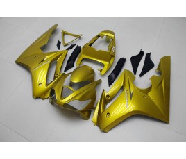 Carena riumph Daytona 675 06 08 Golden