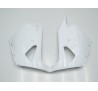 Carena in ABS Kawasaki ZX-14R Ninja 06 - 11 White Flames