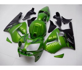 Carena in ABS Kawasaki ZX-12R Ninja 02-06 Flaming Green