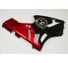 Carena in ABS Kawasaki ZX-12R Ninja 02-06 Red and Black Custom Logo