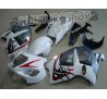 Carena in ABS Suzuki GSX-R 1300 Hayabusa 99-07 White & Silver 2