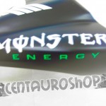 Codino Monster replica monoposto per CBR 600 R