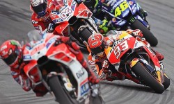 ali per carene da moto gp